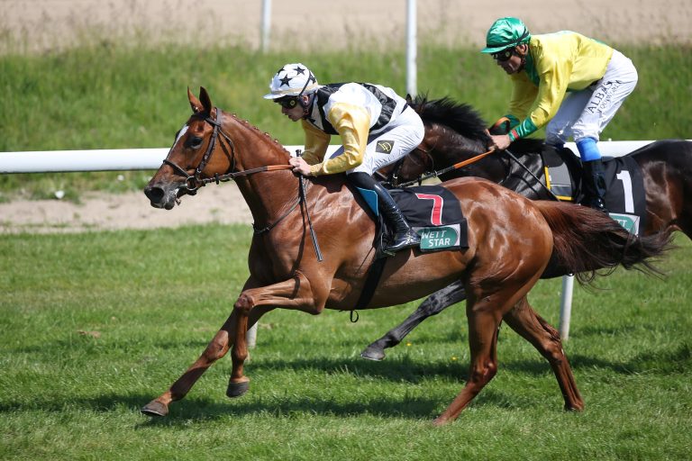Erfahrung bei den Dreijährigen Trumpf