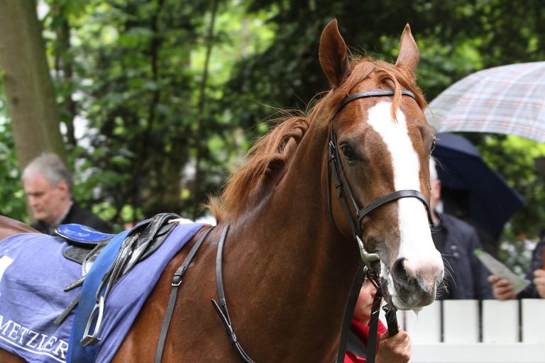 Topbesetzter Hessen-Pokal zum Finale