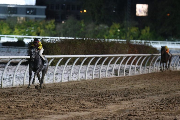 Ein erfolgreicher „Clou“ – Capitano nur Vizekapitän