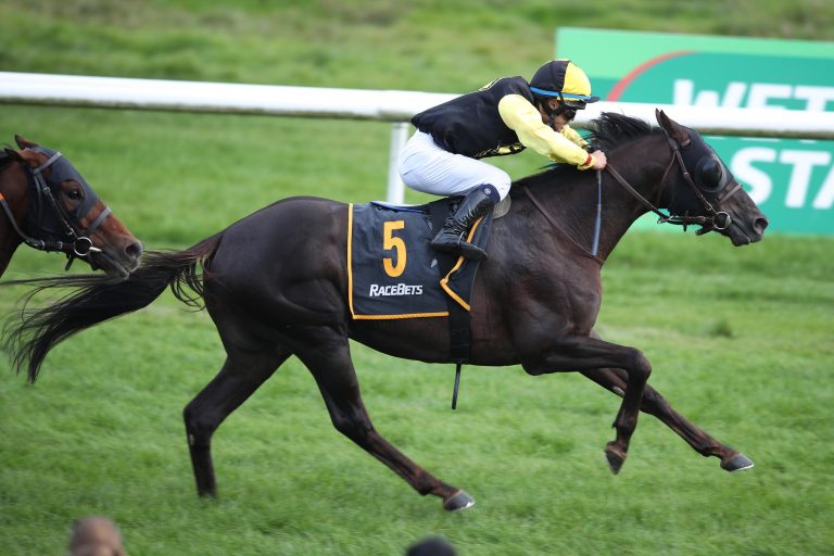 Mon Mistral (Archiv)