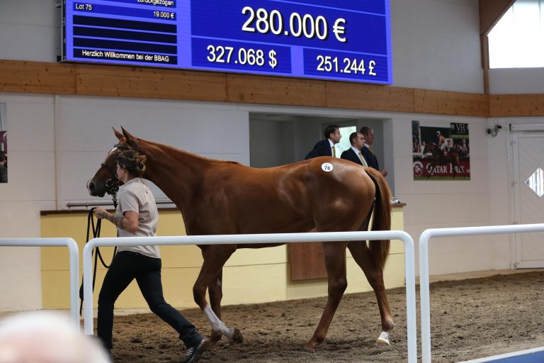 280.000 Euro: BBAG-Topseller gewinnt Debüt