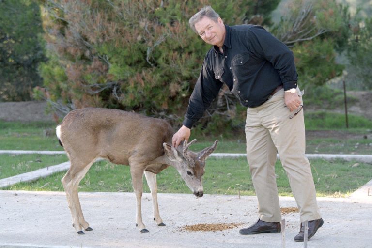 Film über Pferdeflüsterer Monty Roberts