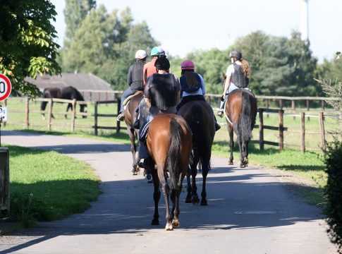 55 Mal Stallparade 2026 - Diese Quartiere sind dabei morgenarbeit