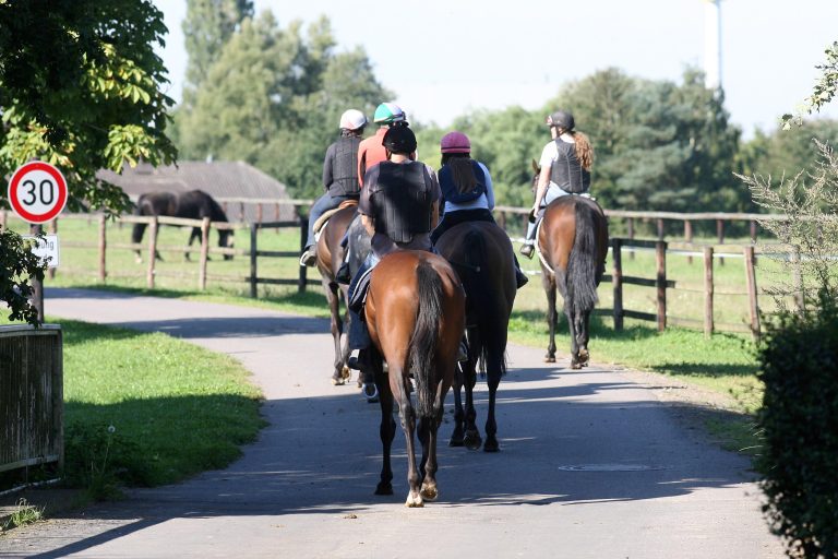 Es sind 72 Trainer bei der Stallparade dabei