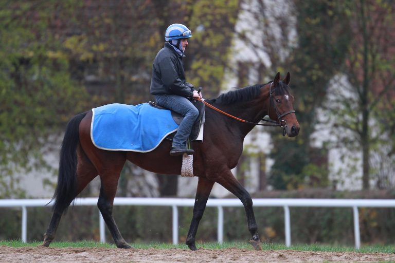 Der Stern von Morning Star erstrahlt über Deauville