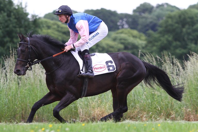 Mr Beauregard macht seine Pflegerin glücklich