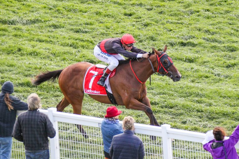 Seidl: 16. Volltreffer mit Wiederholungstäter