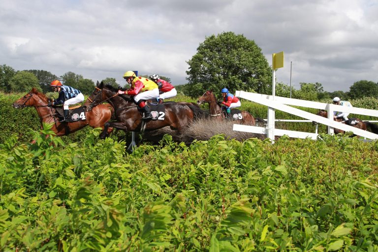 Sire De Grugy beim Comeback reiterlos