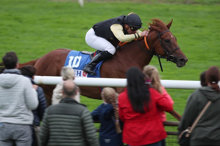 Brümmerhofer Favorit im 100. Magyar Derby