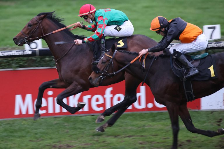 Mythico (li.) und Dolcetto