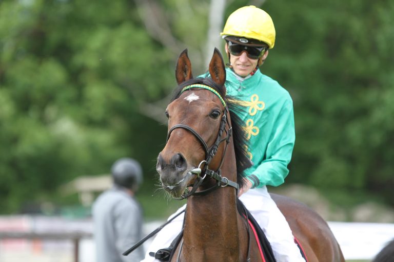 Deutsche agieren als Käufer und Verkäufer