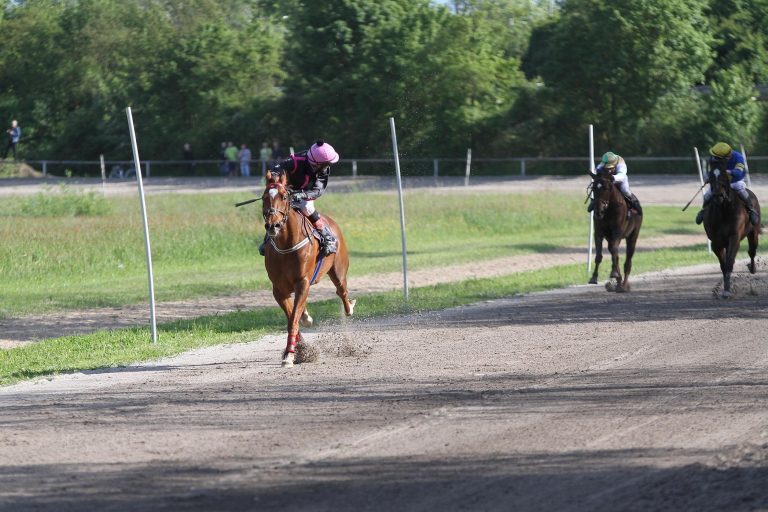 Namecheck verabschiedet sich von der Rennbahn