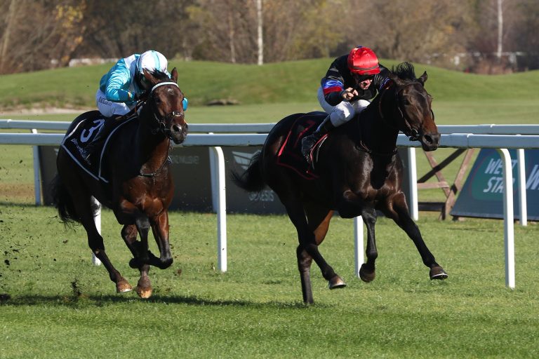 Debütantin Nandina überzeugt auf ganzer Linie