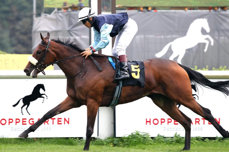 Nantany in Maisons-Laffitte ohne Chance