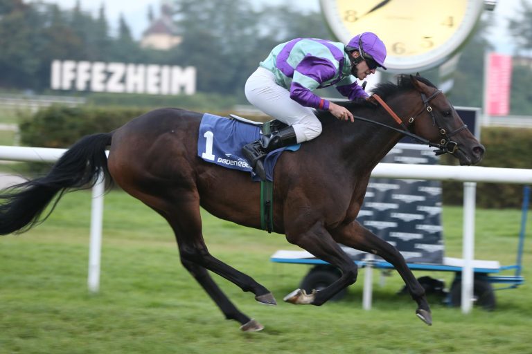 Billigheimer Purzelmarkt mit Traditionsrennen