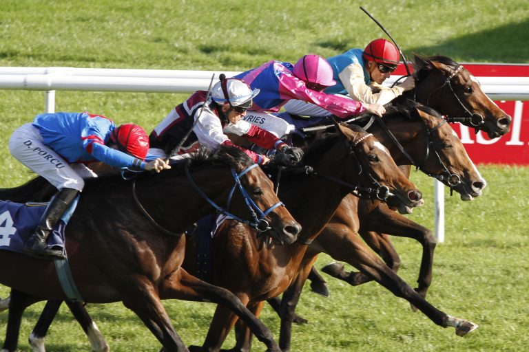 Das Gestüt Röttgen meldet seine erste Fohlengeburt