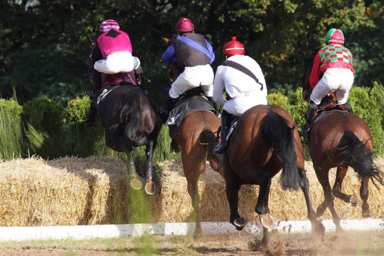 Gruppe-Tag in Navan ohne Sieg von Mullins