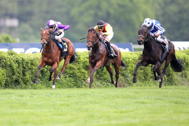 Navaro Girl entführt Auftaktprüfung nach Köln