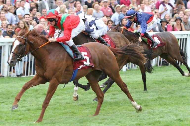 Navarra King nach Beinbruch nicht zu retten