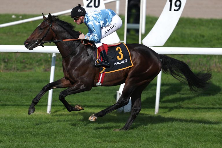 Noch zwei Wissembourg-Sieger