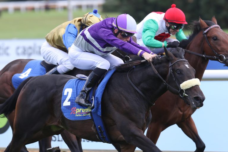 Neruda in den 2000 Guineas von Rom ohne Chance