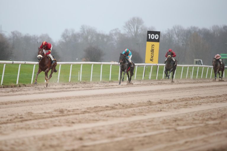 New Day (an zweiter Stelle)