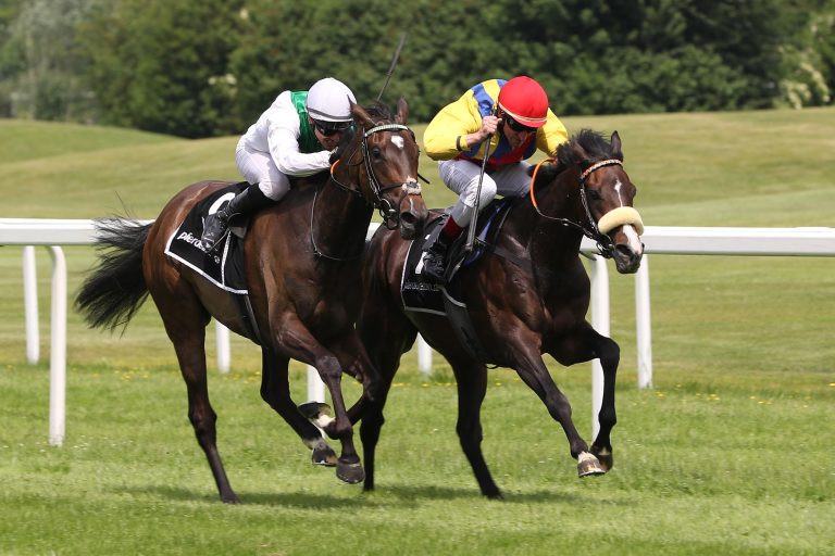 New Kid In Town (re.)