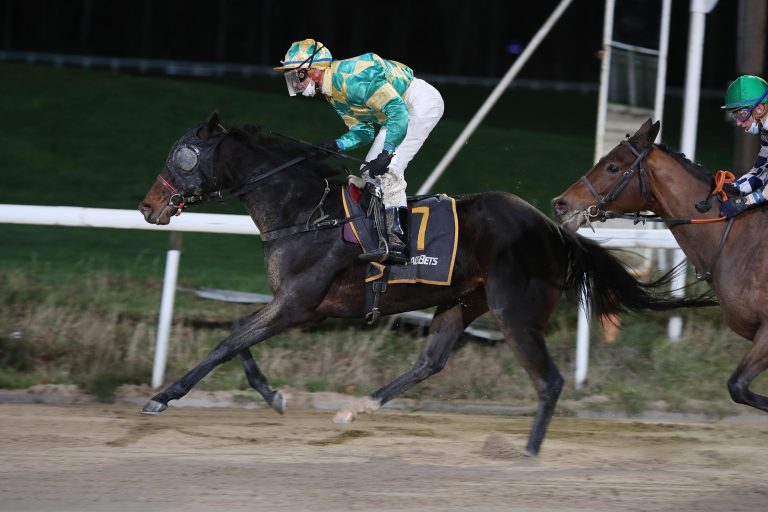 New Topmodel siegt unter Andreas Helfenbein