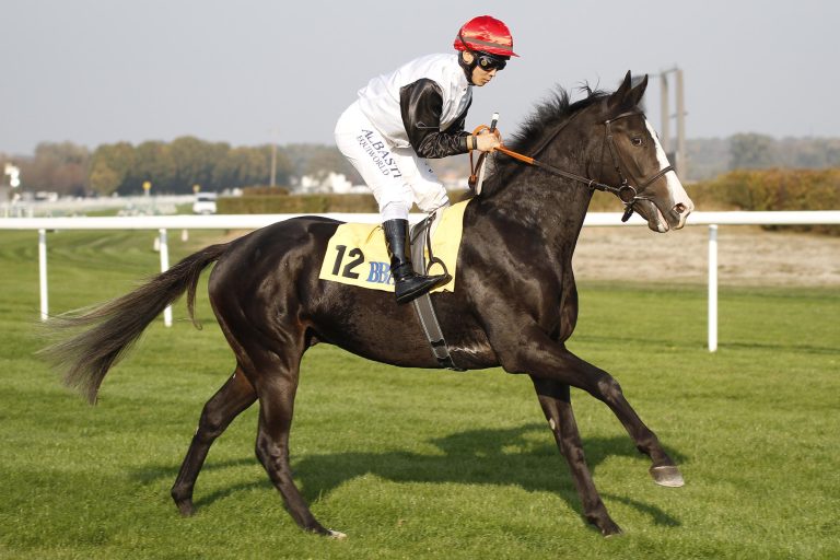 Scheibenholz: Favoritensieg zum Auftakt