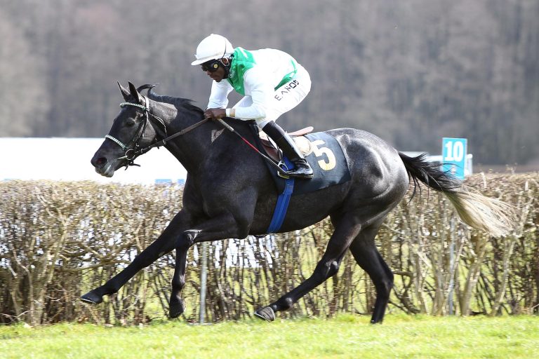 700.000 Euro: Auch Night Music erzielt Top-Preis