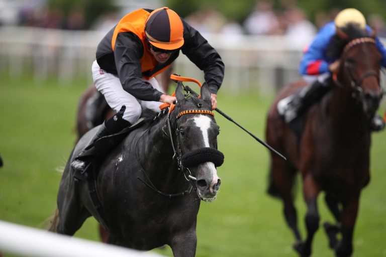 Grewe-Zweierwette im BBAG Meiler-Auktionsrennen