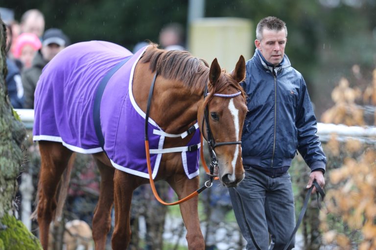 Showdown in Baden: Ito vs. Nightflower