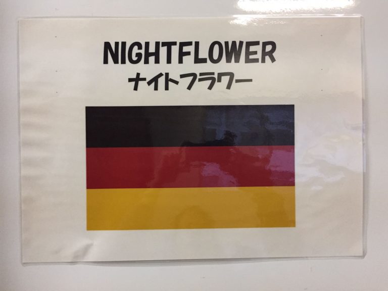 Japan: Erdbeben bringt deutsche Cracks nicht aus der Ruhe