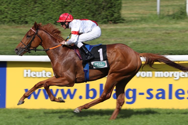 Neun Kandidaten für das Silberne Pferd