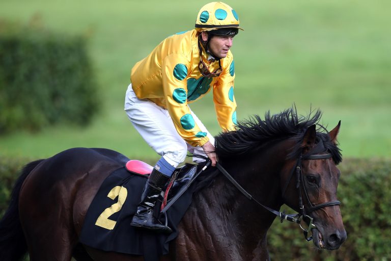 Niron verteidigt Titel im Dresdener Steherausgleich