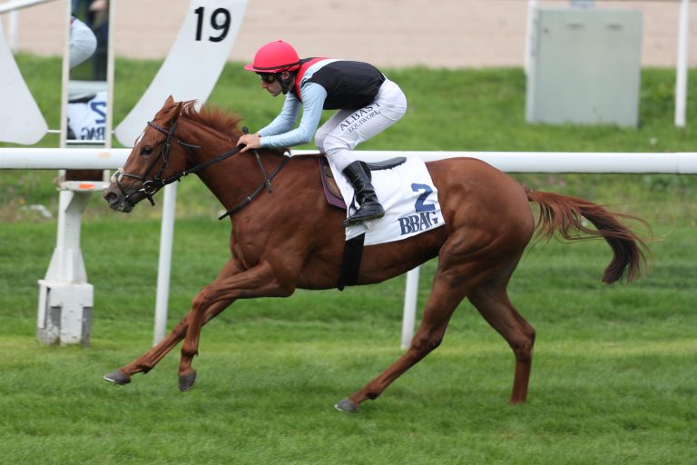 No Limit Credit (Archiv) hier noch in alten Farben