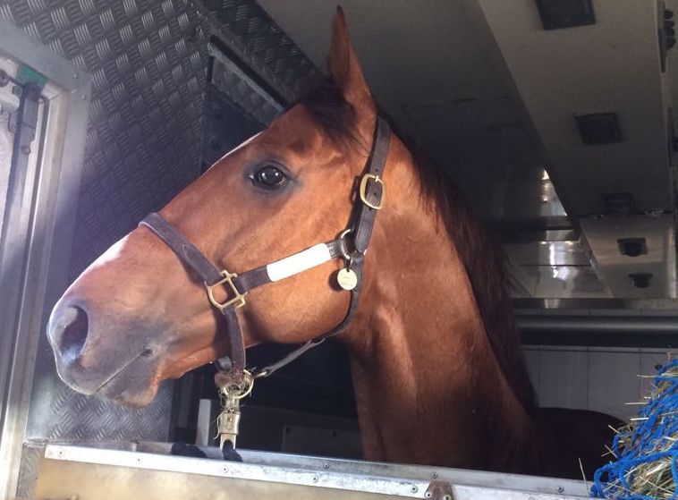 Noor Al Hawa für Lockinge Stakes genannt