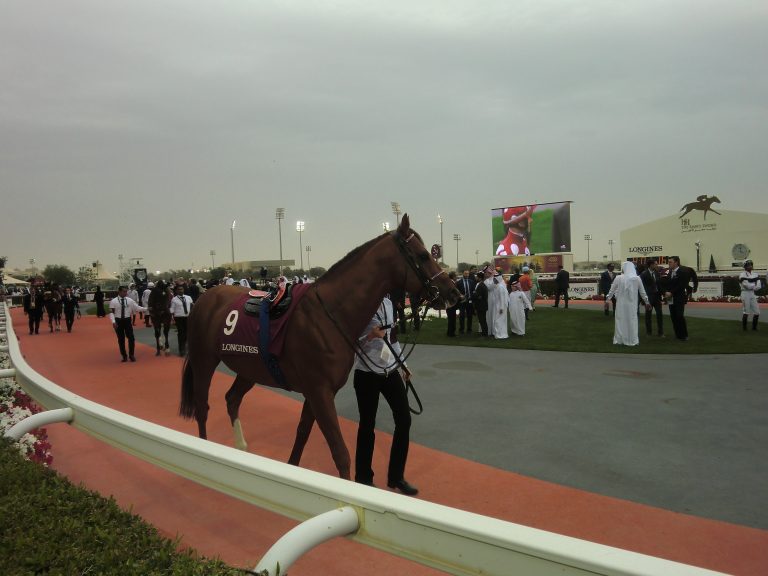 Nach Trophy: das sagt der Handicapper zu Noor Al Hawa