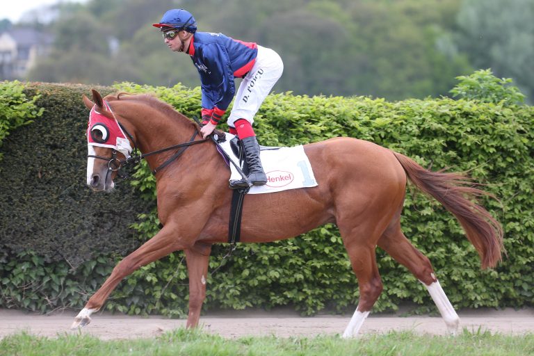 Das „Schlitzohr“ Nordic Flight siegt im Auktionsrennen
