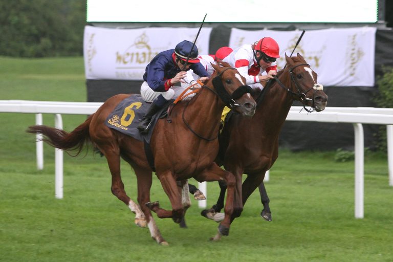 Viele Nennungen für Dortmunder Gruppe-Examen