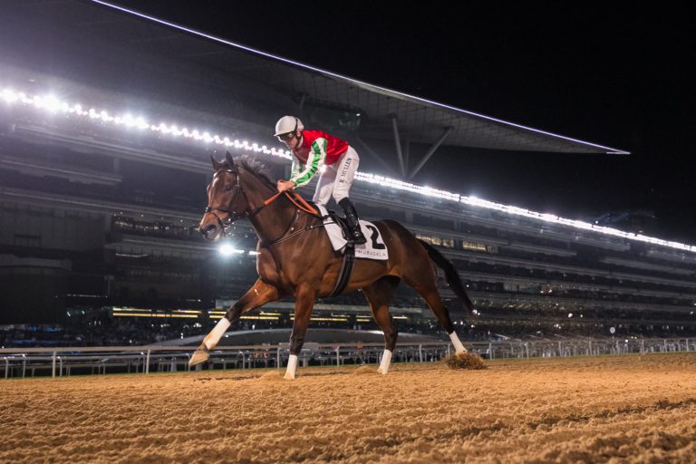 Verbindung zu Kadyrov – Seemar verliert Lizenz