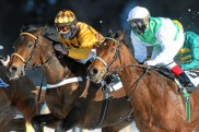 St. Moritz: Northern Glory entpuppt sich als ‚Schneehase‘