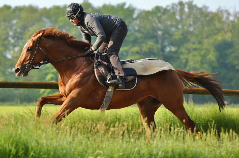 Hurricane Lane fegt die Gegner weg