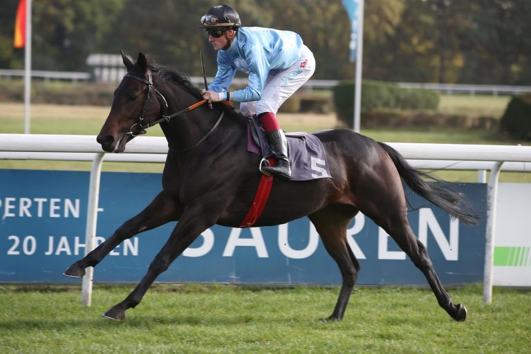 Klug und Löwe top bei den Zweijährigen