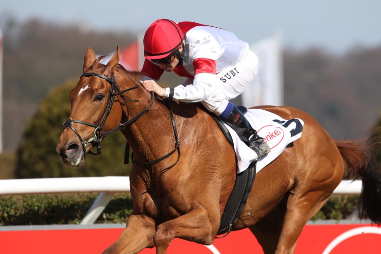 Listen-Starts deutscher Pferde in Frankreich