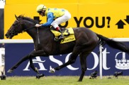 Das Racing Post-Rating: ‚Der Sieger hat Star-Qualit?t‘