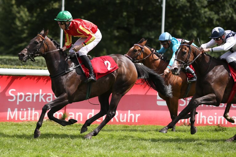 Jubel in Harzburg: Novice of Budysin siegt!