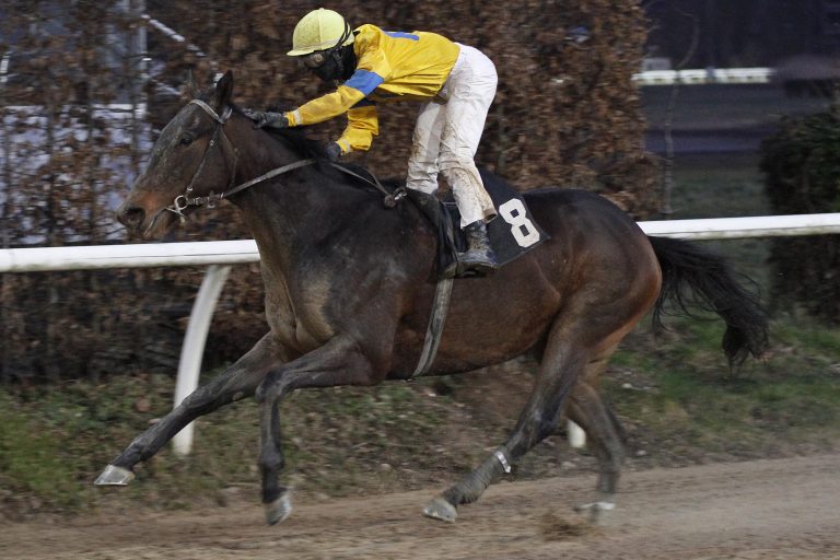 Gamgoom verpasst Hattrick – Nuri Bey siegt