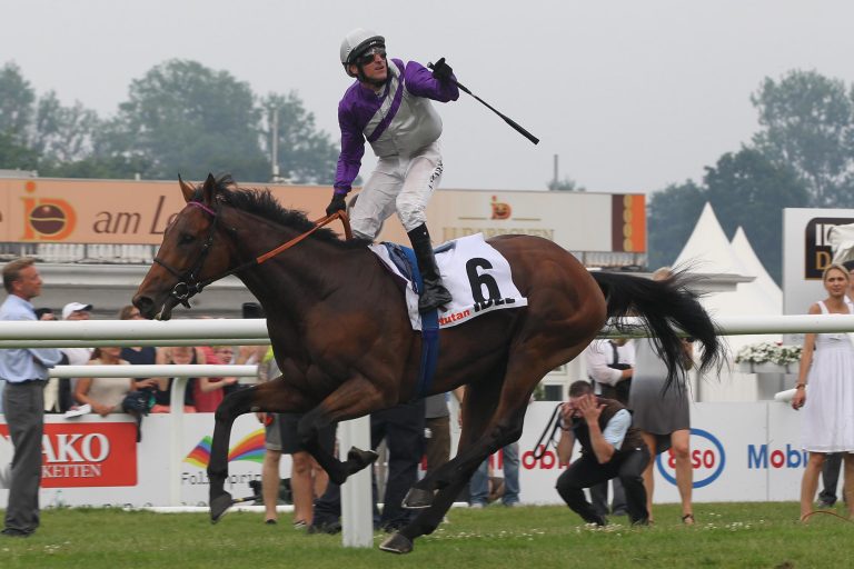 Nutan deckt ab 2019 im Gestüt Erftmühle