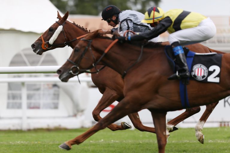 Adrie de Vries behält auf Odeliz die Nerven